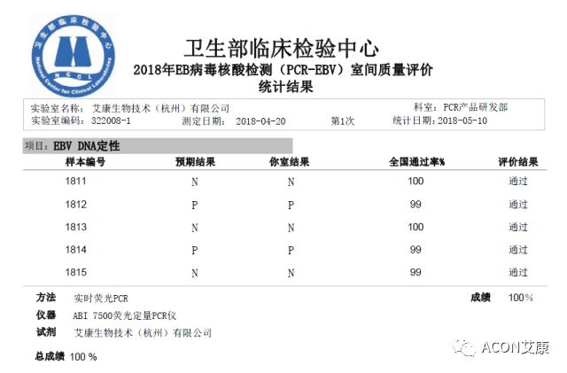 亚洲美女又黄又爽在线观看