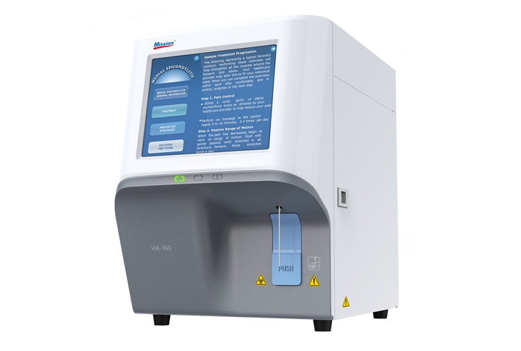 亚洲美女又黄又爽在线观看