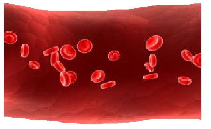 亚洲美女又黄又爽在线观看