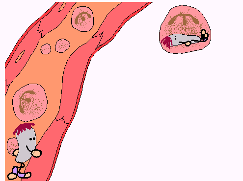 亚洲美女又黄又爽在线观看
