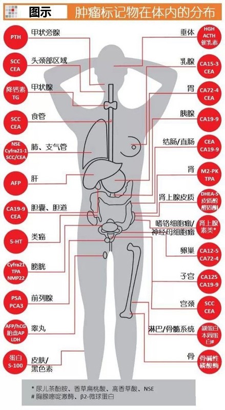 亚洲美女又黄又爽在线观看