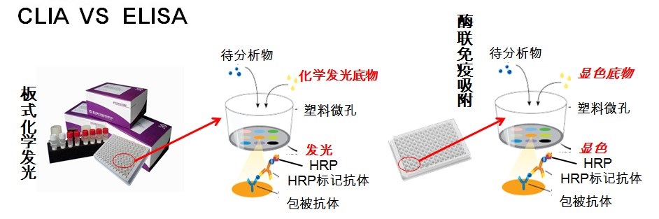 亚洲美女又黄又爽在线观看