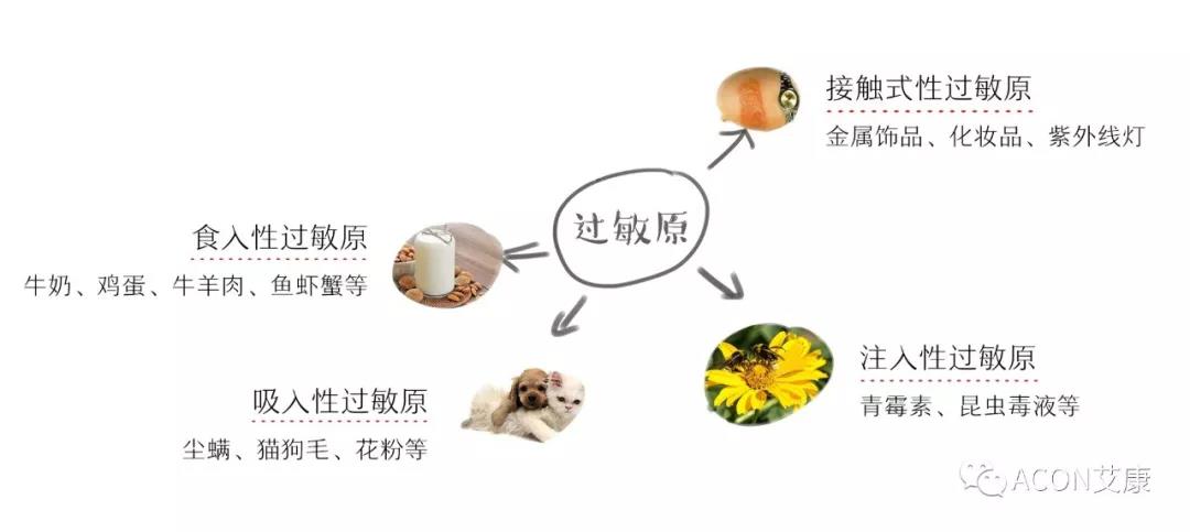 APAAACI 2019 | 深入解读过敏原：从诊断到治疗，优化过敏原诊断管理——艾康生物过敏原检测分会