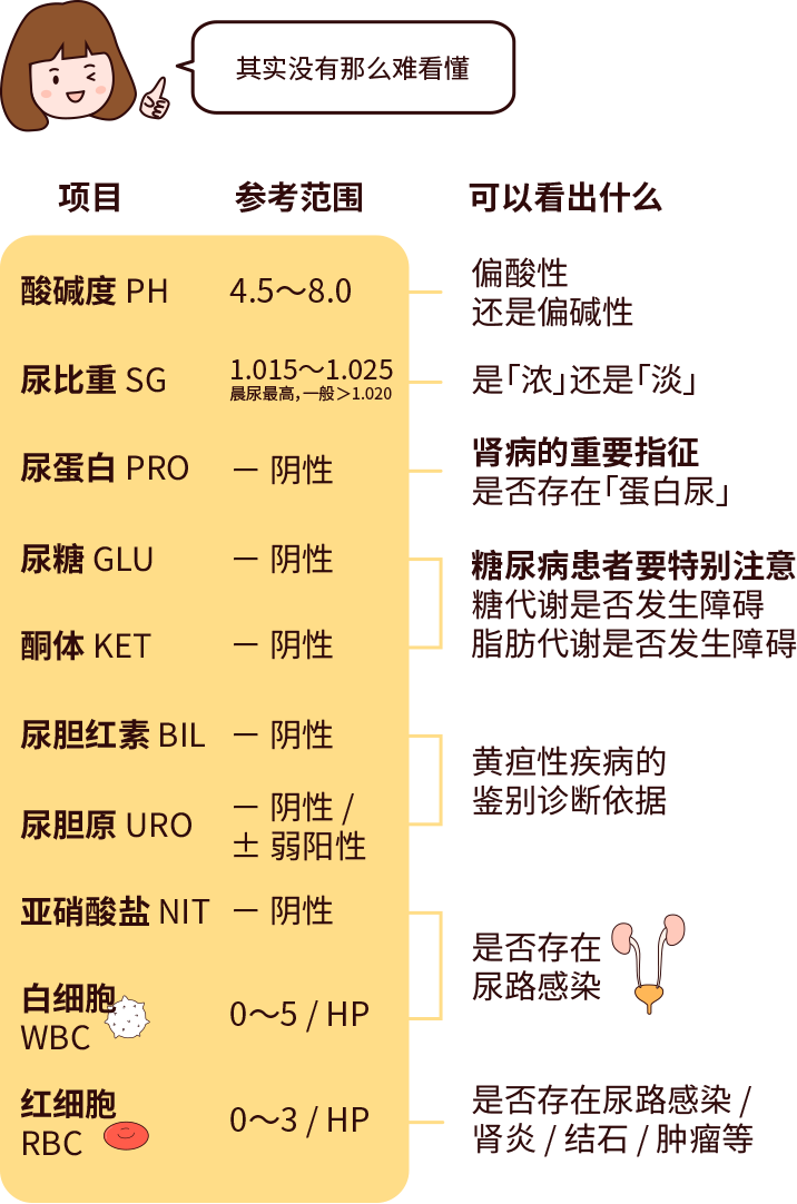 排尿黄、异味大，可能是身体在报警！