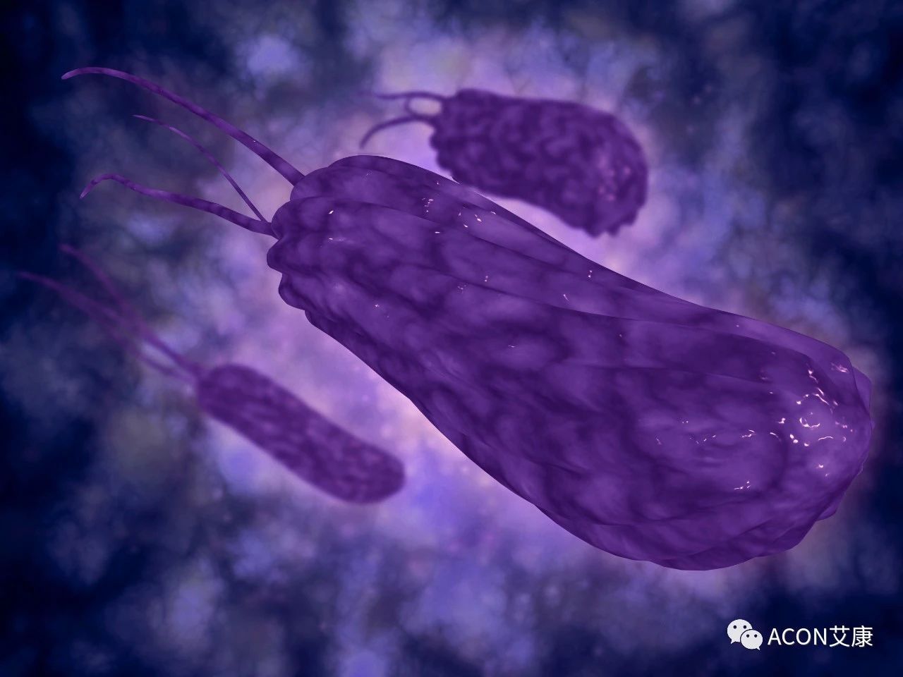 医生总结了3位年轻胃癌患者的病例:30岁不到的他们到底干啥了? 医生总结了3位年轻胃癌患者的病例:30岁不到的他们到底干啥了?