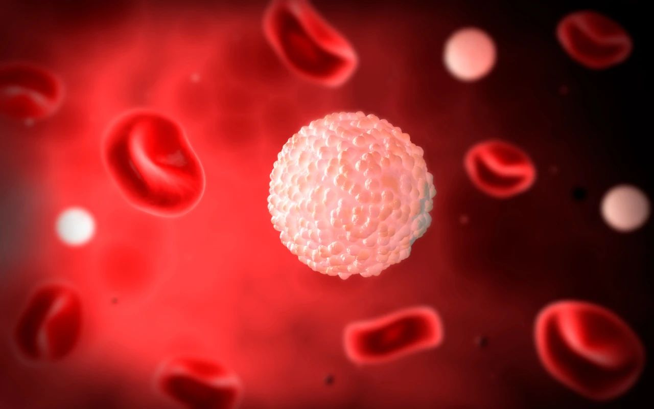 看不懂的血常规化验单,原来背后学问这么多 看不懂的血常规化验单,原来背后学问这么多