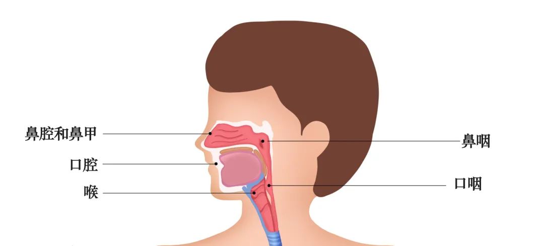微信图片_20220507143112.jpg 微信图片_20220507143112.jpg