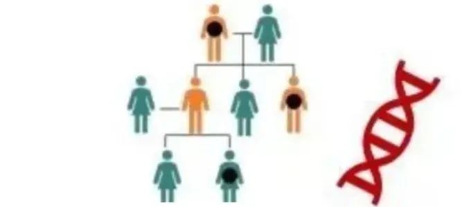 微信图片_20220616085609.jpg 微信图片_20220616085609.jpg