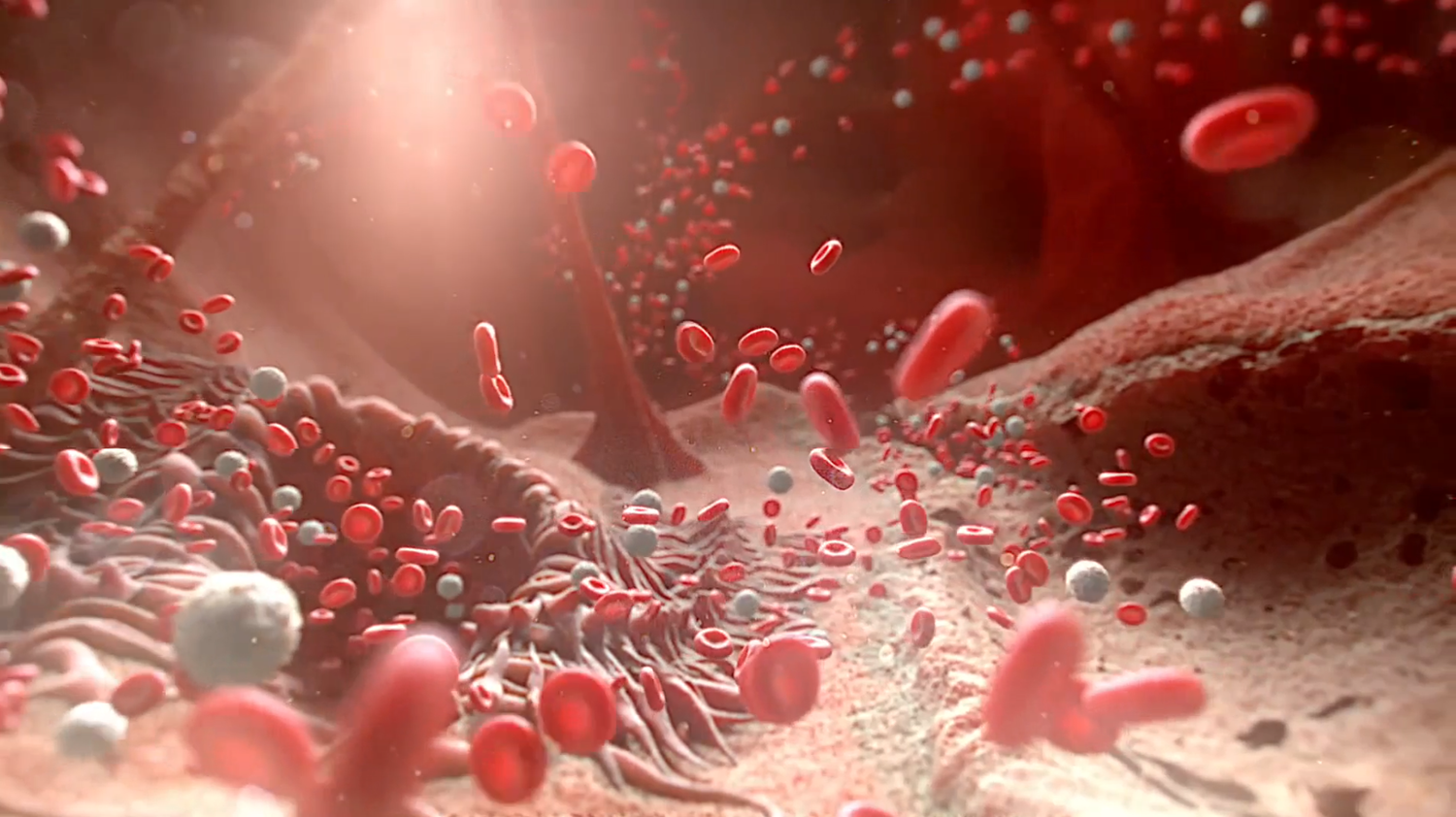 微信图片_20221202164656.png 微信图片_20221202164656.png