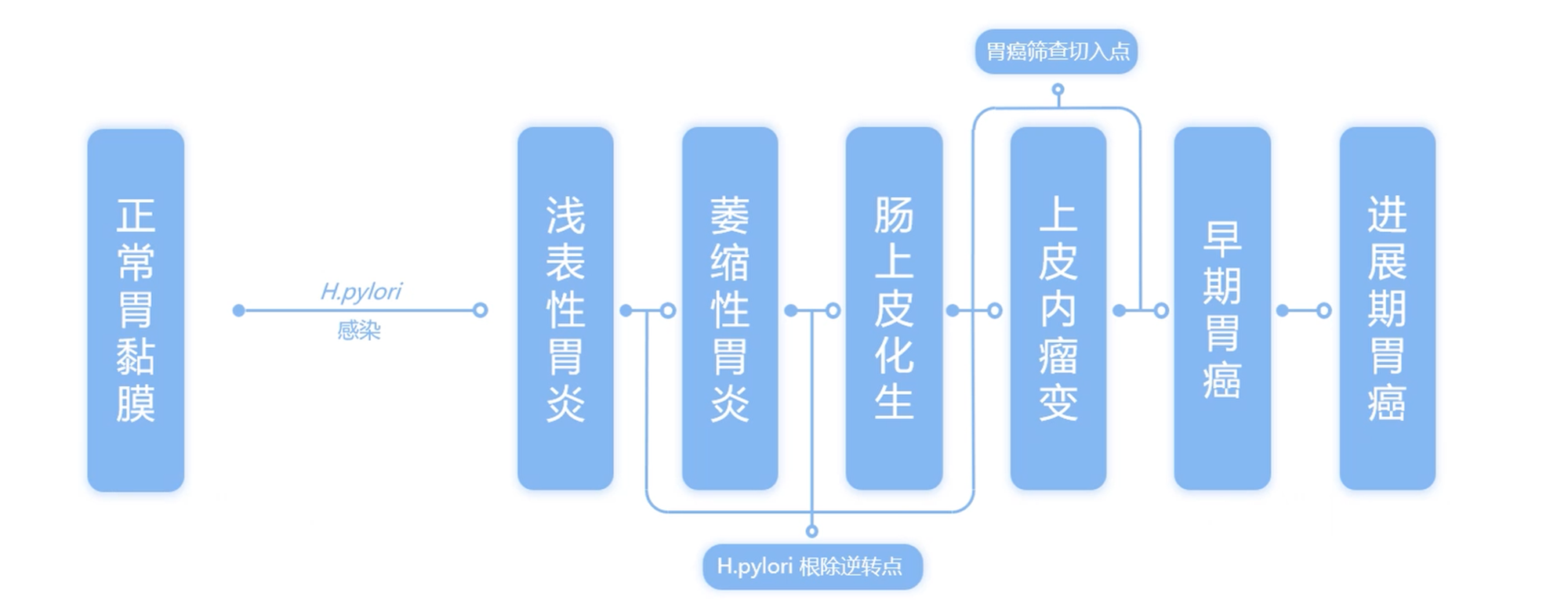 胃癌进展流程.png 胃癌进展流程.png