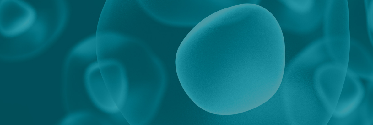 2025官网_栏目页banner 04.jpg