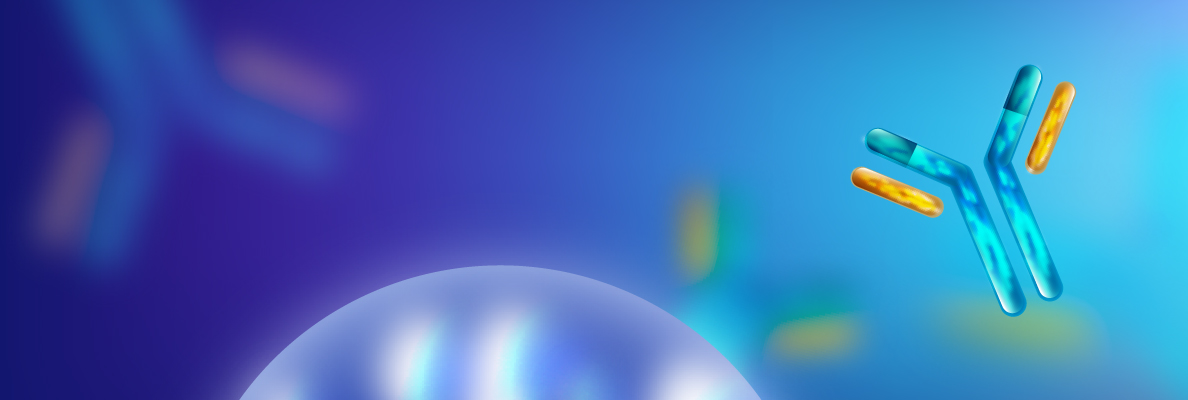 2025官网_栏目页banner 10.jpg